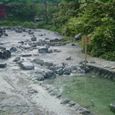 Dsc02479